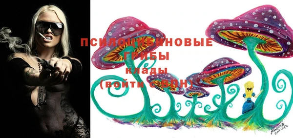 ECSTASY Волосово