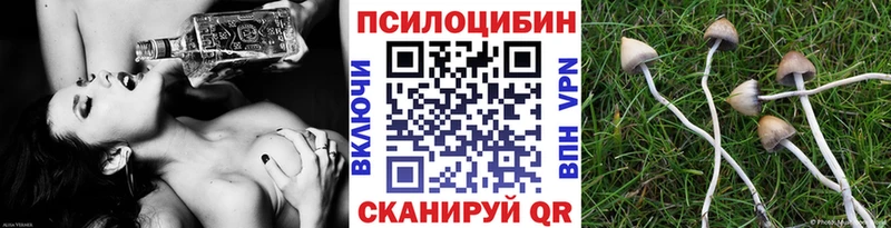Купить где  Краснотурьинск  Галлюциногенные грибы ЛСД 